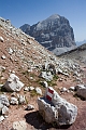 2011-08-22_09-31-33 cadore